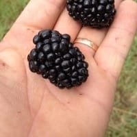 Imaginea miniatură a imaginii anunțului