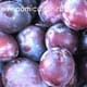 Vanzare prune pentru tuica