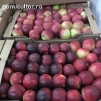 Imaginea miniatură a imaginii anunțului