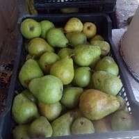 Imaginea miniatură a imaginii anunțului