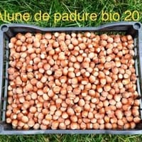 Imaginea miniatură a imaginii anunțului