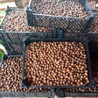 Imaginea miniatură a imaginii anunțului