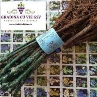 Imaginea miniatură a imaginii anunțului