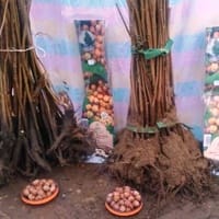 Imaginea miniatură a imaginii anunțului