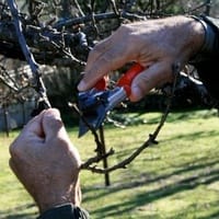 Imaginea miniatură a imaginii anunțului