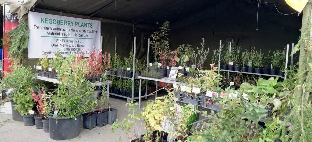 Stand prezentare Pepiniera Negoberry Plants
