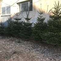 Imaginea miniatură a imaginii anunțului