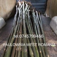 Imaginea miniatură a imaginii anunțului