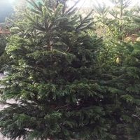 Imaginea miniatură a imaginii anunțului