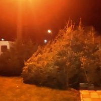 Imaginea miniatură a imaginii anunțului