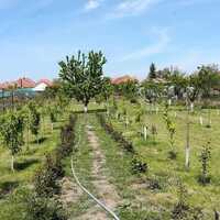 Imaginea miniatură a imaginii anunțului