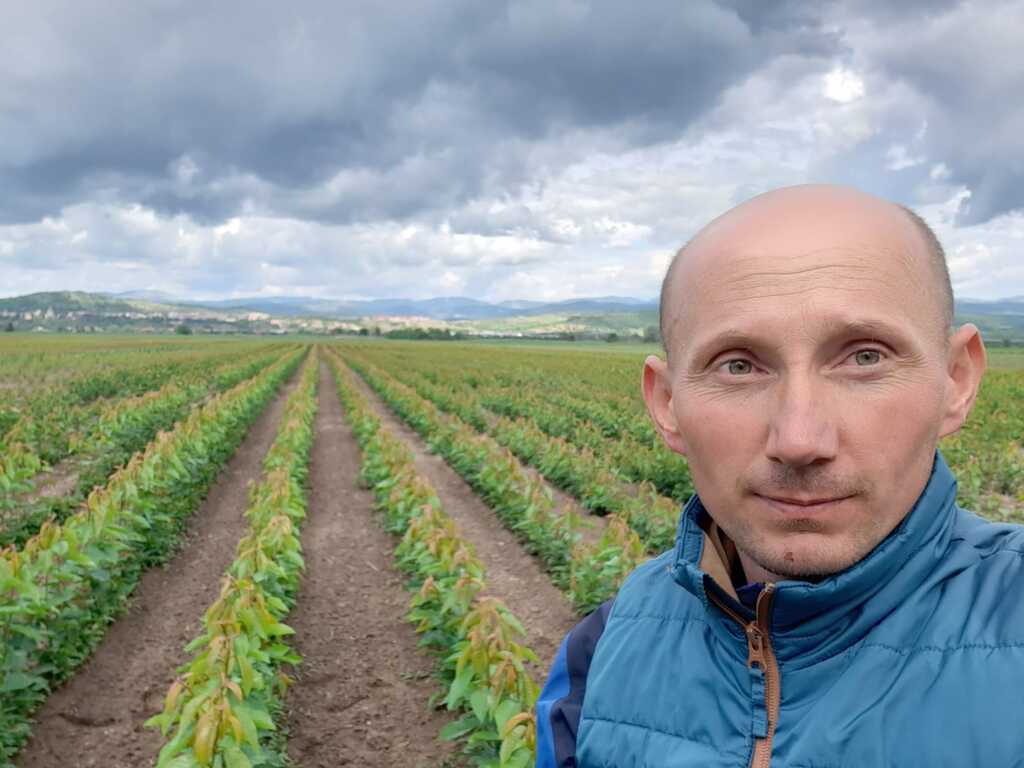 pomi-fructiferi-pepiniera-csaba-aiud