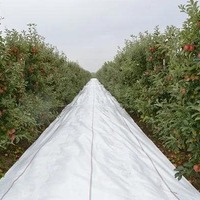 Imaginea miniatură a imaginii anunțului