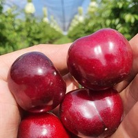 Imaginea miniatură a imaginii anunțului