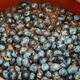 Vanzare borhot de prune