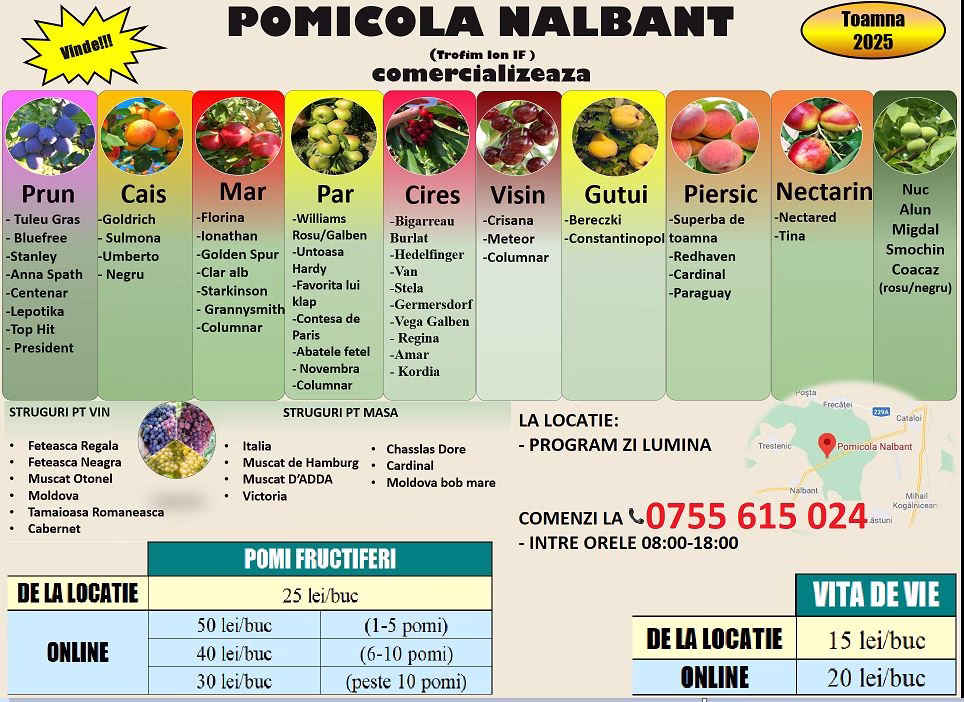 puieti pomi fructiferi pepiniera nalbant tulcea