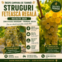 Imaginea miniatură a imaginii anunțului